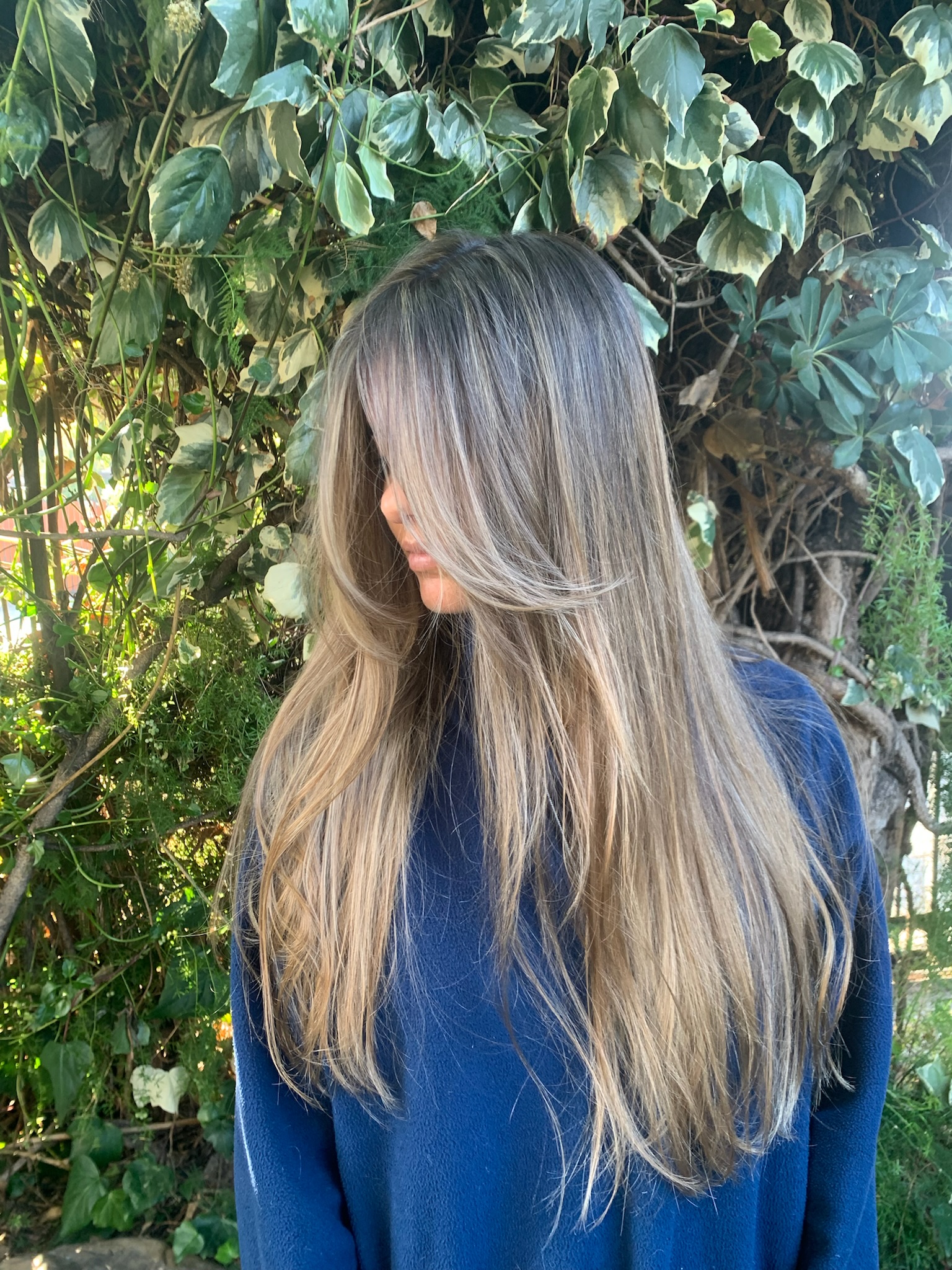 Trabajo de coloración 2