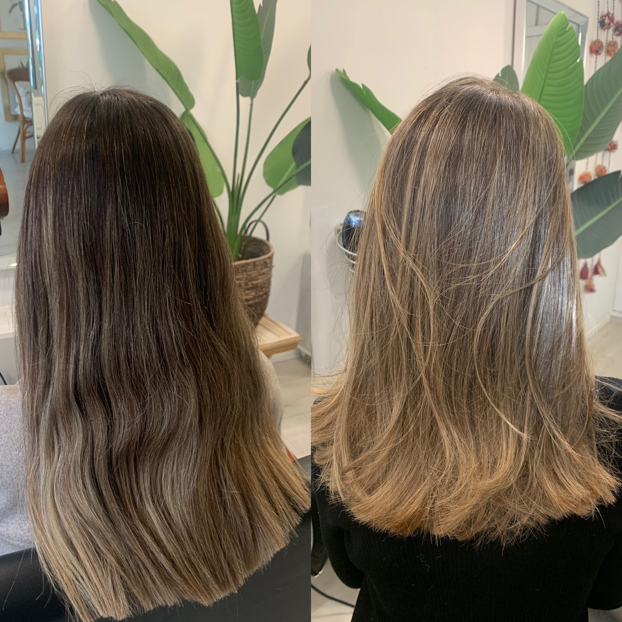 Trabajo de coloración 3